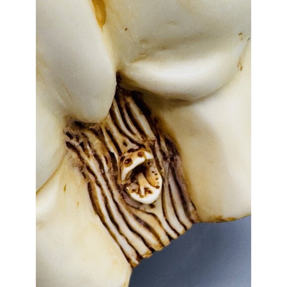 Harmony Kingdom Straight From The Hip Large Hippo Trinket Box Figurine 5 inch - Picture 9 of 15